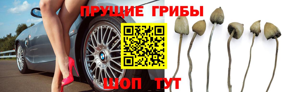 Псилоцибиновые грибы прущие грибы  Вход с VPN  Южно-Сахалинск 
